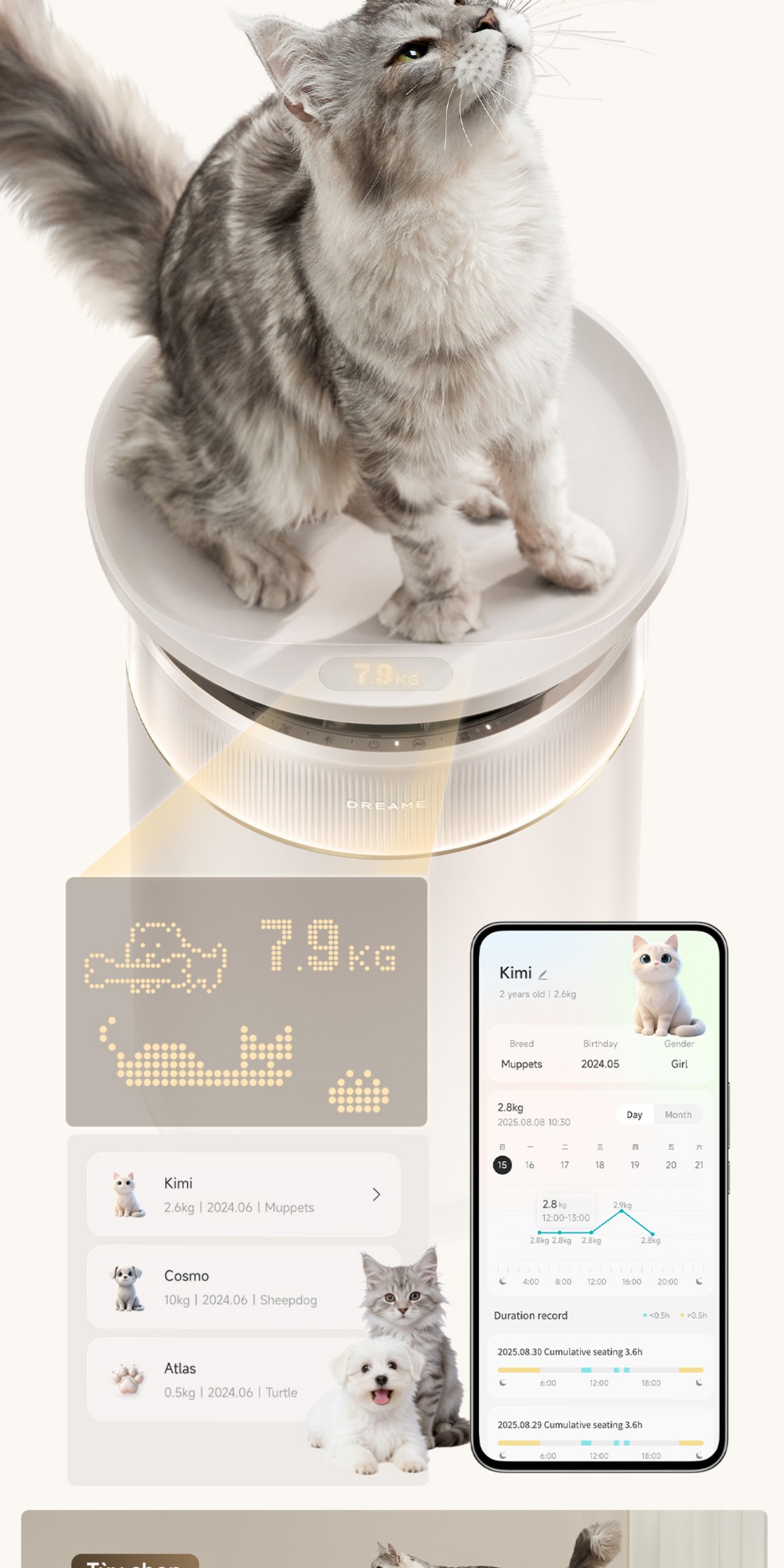 Máy lọc không khí Dreame FP10