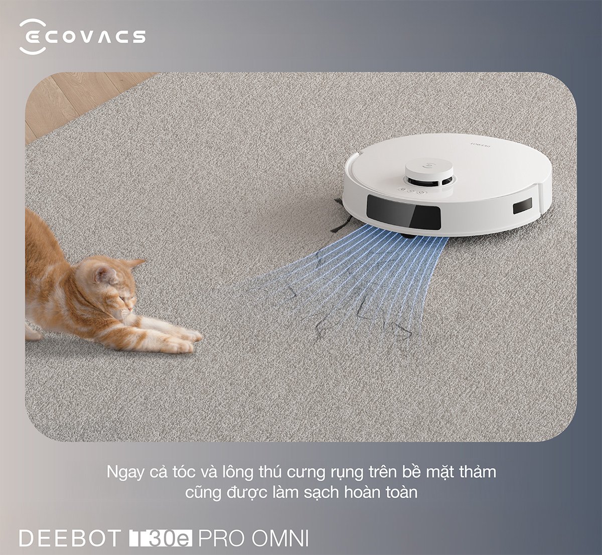 Robot hút bụi Ecovacs T30e Pro Omni